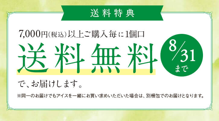8,000円以上で送料無料
